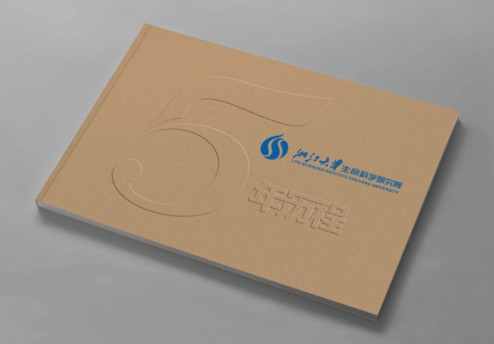 新穎面粉包裝設計 新穎面粉包裝設計